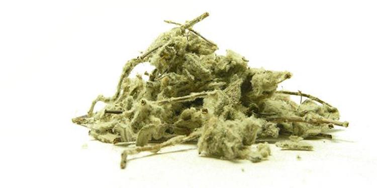 Diktát
(cena za kilo)