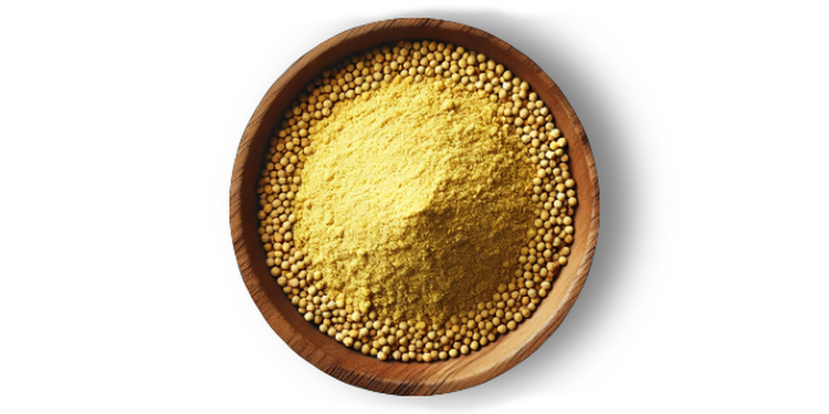 Horčičný prášok
(cena za kilo)