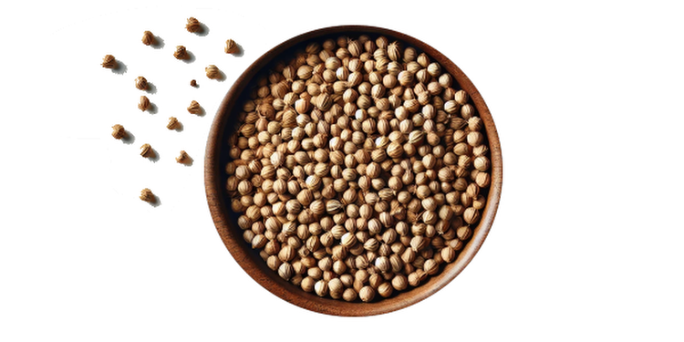 koriander
(cena za kilo)