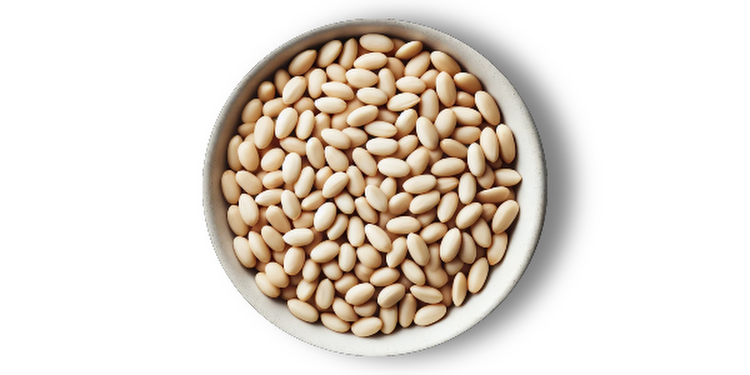 Kakaové semienko
(cena za kilo)