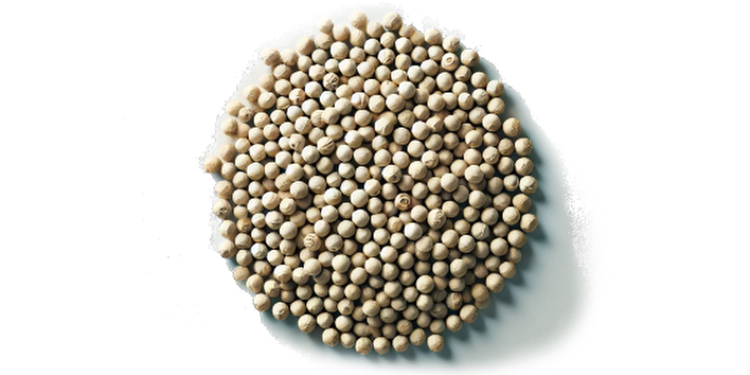 Biele korenie
(cena za kilo)