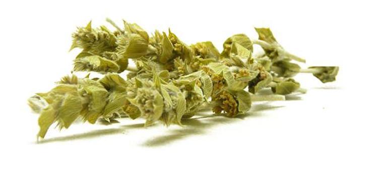 Mount Olympus Tea Sideritis Scardica BIO 2025
(cena za kilo)