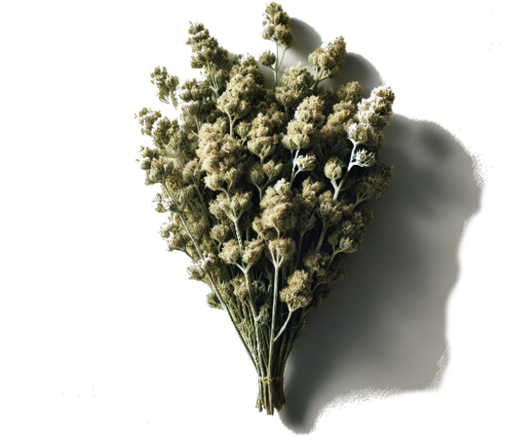 Malotira na Kréte
(cena za kilo)