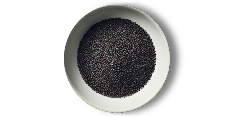 Makové semienko
(cena za kilo)