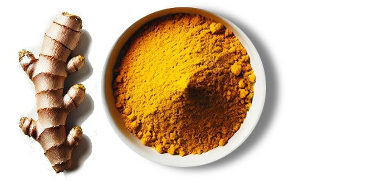 Kurkuma
(cena za kilo)