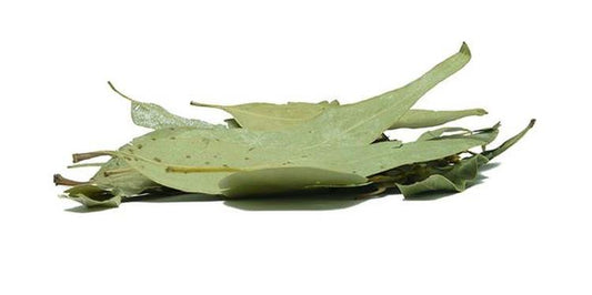 Eukalyptus 
  (cena za kilo)