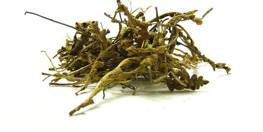 Scorpidi 
  (cena za kilo)