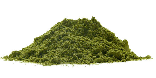 Alfalfa 
  (cena za kilo)