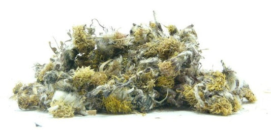 Kašeľ 
  (cena za kilo)