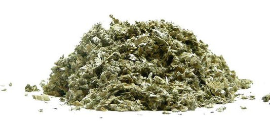 Verbasco ALEBO Phlomo 
  (cena za kilo)