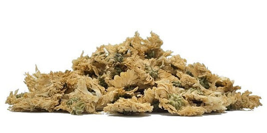 Chryzantéma 
  (cena za kilo)