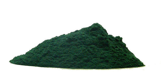 Chlorella v organickom prášku 
  (cena za kilo)