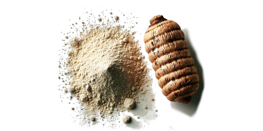 Maca Root Powder Peru (Maca Root Powder) 
  (cena za kilo)
